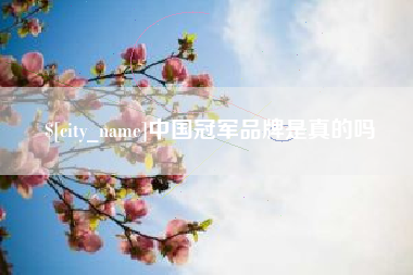乳山中国冠军品牌是真的吗
