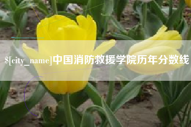 乳山中国消防救援学院历年分数线