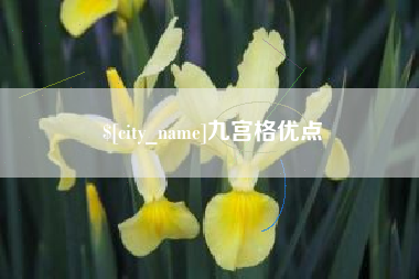 乳山九宫格优点