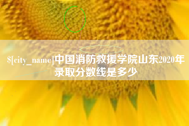 乳山中国消防救援学院山东2020年录取分数线是多少
