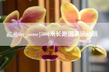 乳山5000米长跑国家运动员