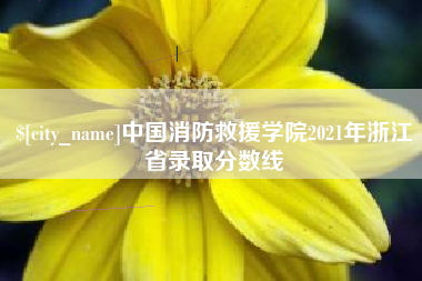 乳山中国消防救援学院2021年浙江省录取分数线