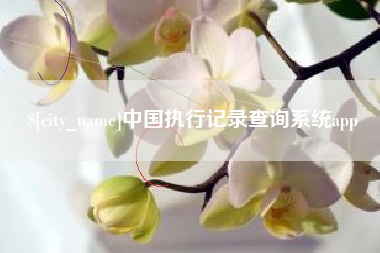 乳山中国执行记录查询系统app