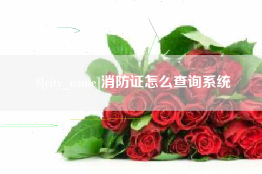 乳山消防证怎么查询系统