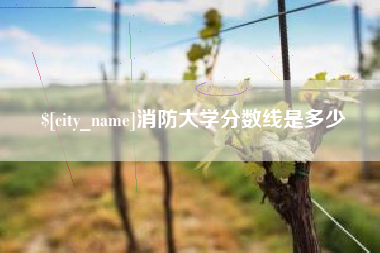 乳山消防大学分数线是多少