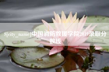 乳山中国消防救援学院2019录取分数线