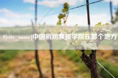 乳山中国消防救援学院在那个地方