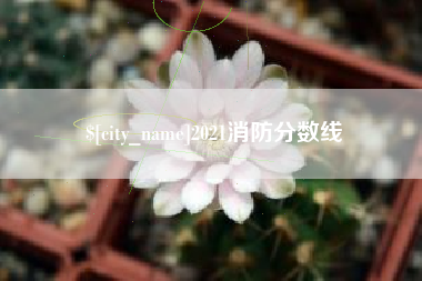 乳山2021消防分数线
