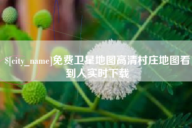 乳山免费卫星地图高清村庄地图看到人实时下载