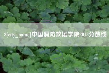 乳山中国消防救援学院2018分数线