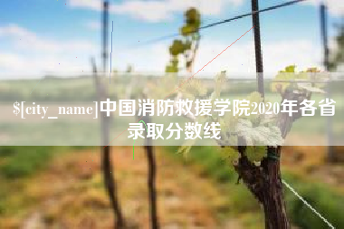 乳山中国消防救援学院2020年各省录取分数线