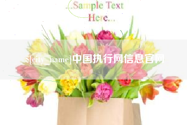 乳山中国执行网信息官网