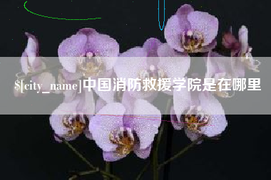 乳山中国消防救援学院是在哪里