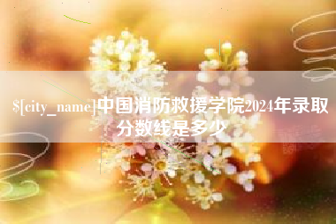 乳山中国消防救援学院2024年录取分数线是多少