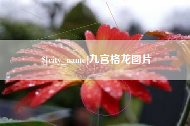 乳山九宫格龙图片