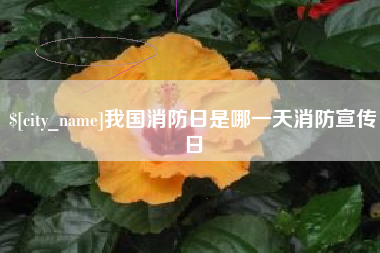 乳山我国消防日是哪一天消防宣传日