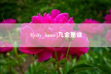 乳山九金是谁