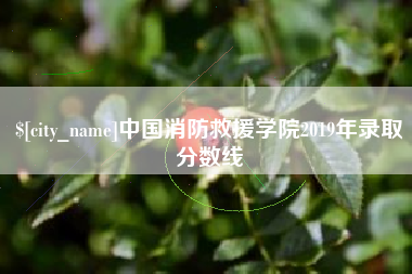 乳山中国消防救援学院2019年录取分数线