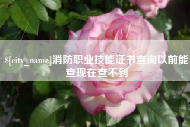 乳山消防职业技能证书查询以前能查现在查不到