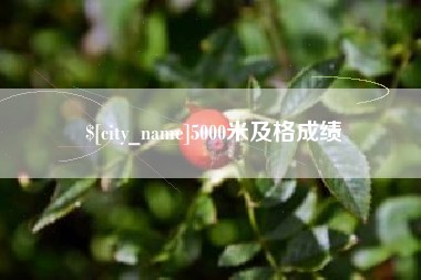 乳山5000米及格成绩