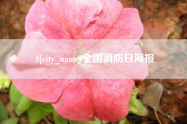 乳山全国消防日海报