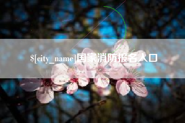 乳山国家消防报名入口