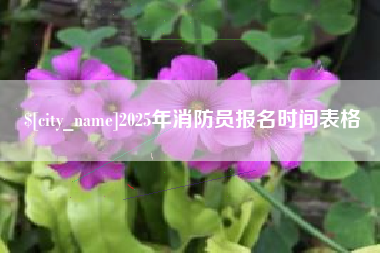 乳山2025年消防员报名时间表格