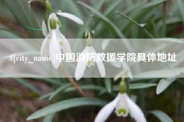 乳山中国消防救援学院具体地址