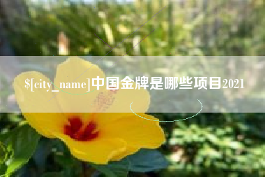 乳山中国金牌是哪些项目2021