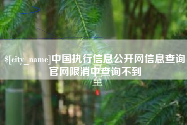 乳山中国执行信息公开网信息查询官网限消中查询不到