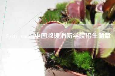 乳山中国救援消防学院招生简章