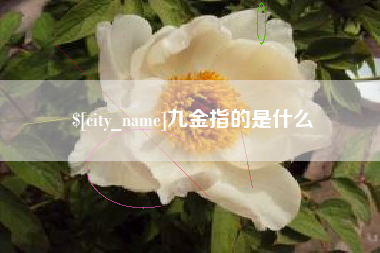乳山九金指的是什么
