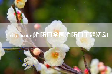 乳山消防日全国消防日主题活动