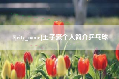 乳山王子豪个人简介乒乓球