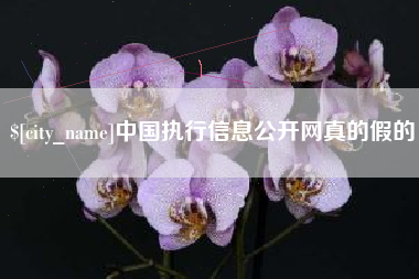 乳山中国执行信息公开网真的假的