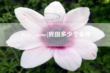 乳山我国多少个金牌