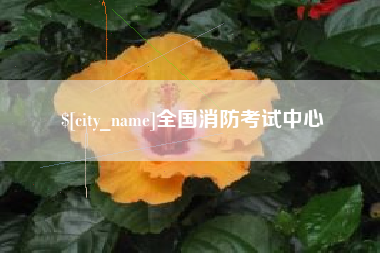 乳山全国消防考试中心