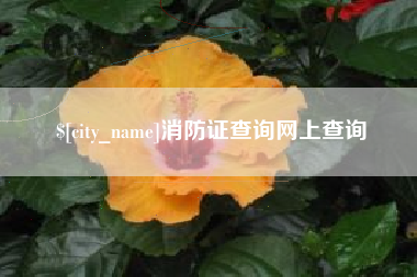 乳山消防证查询网上查询