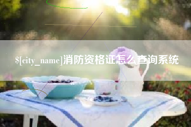 乳山消防资格证怎么查询系统