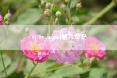 乳山第九金是