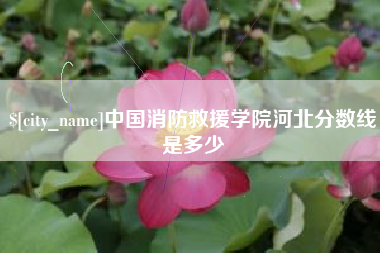 乳山中国消防救援学院河北分数线是多少