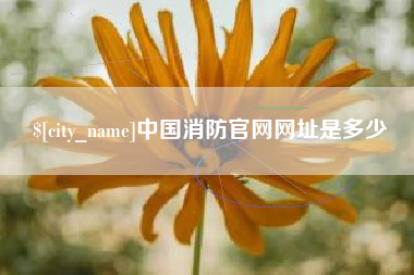乳山中国消防官网网址是多少