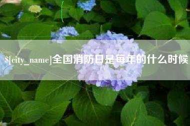 乳山全国消防日是每年的什么时候