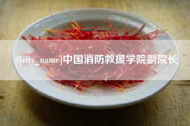 乳山中国消防救援学院副院长