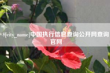 乳山中国执行信息查询公开网查询官网