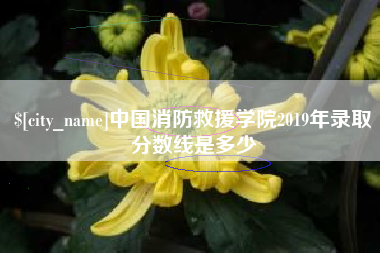 乳山中国消防救援学院2019年录取分数线是多少