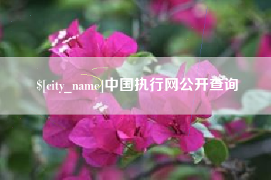 乳山中国执行网公开查询