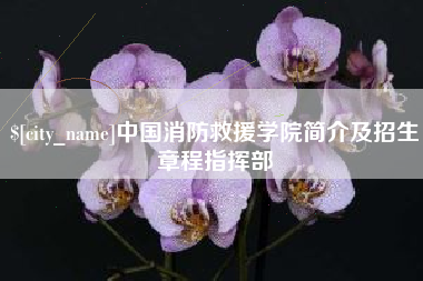 乳山中国消防救援学院简介及招生章程指挥部