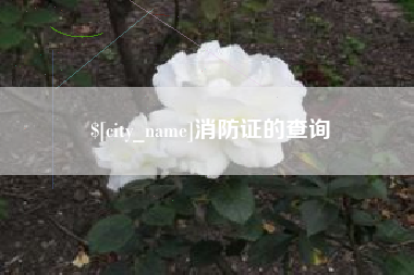 乳山消防证的查询