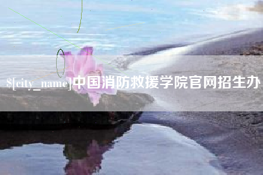 乳山中国消防救援学院官网招生办